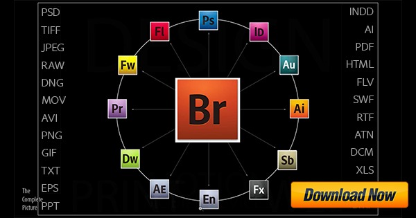 descargar adobe bridge